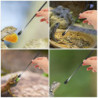3Pcs Small Animal Reptile Feeding Spoon Lizard Food Water Scoop Mixing Stirring Food Feeding Spoon