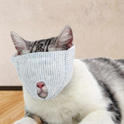 Animals Pet Supplies Pet Supplies Cat Supplies Cat Apparel U4430