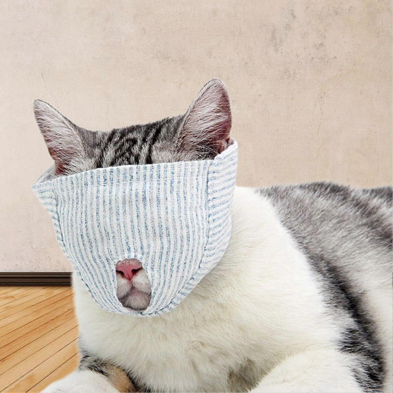 Animals Pet Supplies Pet Supplies Cat Supplies Cat Apparel U4430