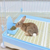 Feeder Bowl Anti-falling Anti-bite Edge Large Capacity PP Plastic Hanging Design Rabbit Bowl Pet Supplies