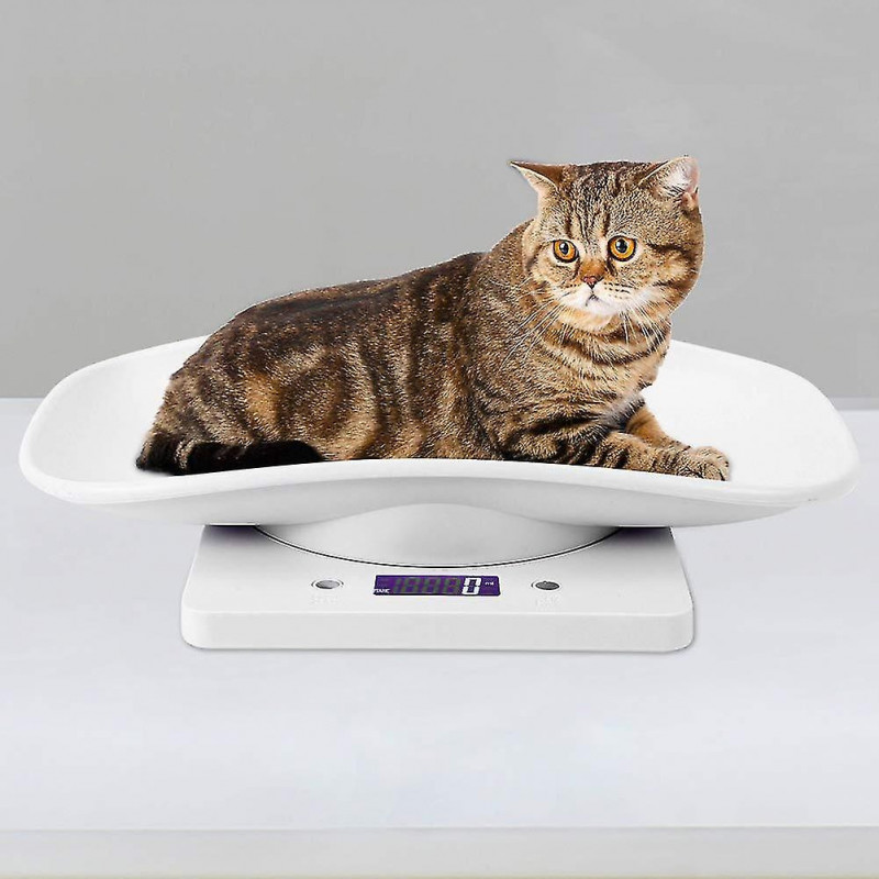 Mini balance électronique numérique pour animaux de compagnie 10kg / 1g Outil de mesure de chien de chat à petite [...]