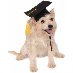 Puppy Supplies Dog Hats For Graduation Decor-puppy Graduation Cap For Small Dogs Like Chihuahua-black Puppy Accessories