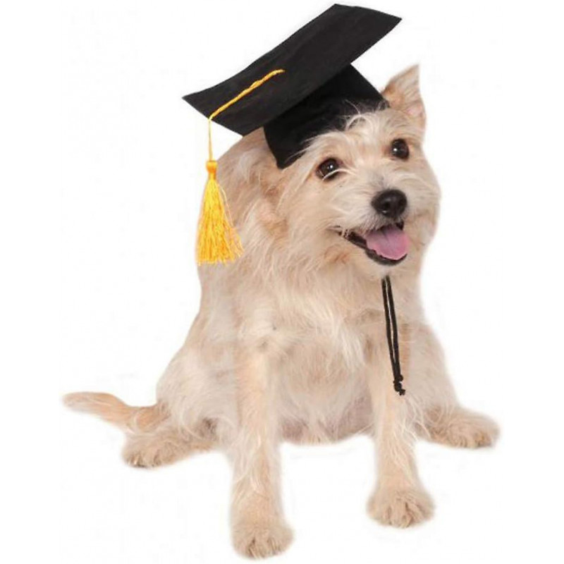 Puppy Supplies Dog Hats For Graduation Decor-puppy Graduation Cap For Small Dogs Like Chihuahua-black Puppy Accessories