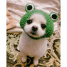 Cute Cartoon Frog Shape Kitten Cat Puppy Small Dog Hats Headwear Cosplay Cap Woolen Knitted Dress Up Hat for [...]