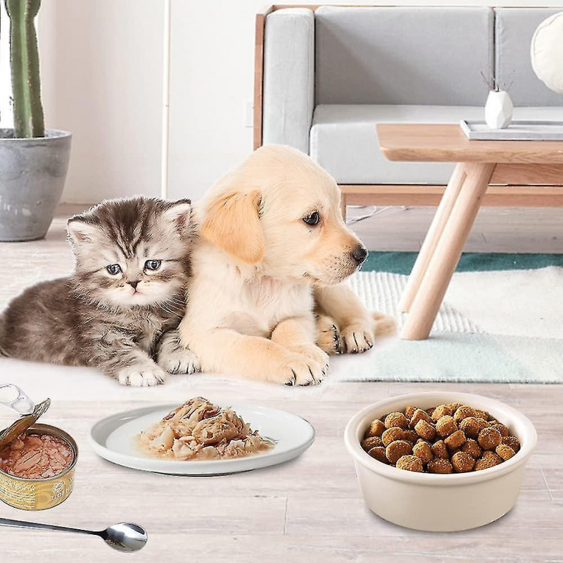 Pet Transparent Scale Food Measuring Spoon With Clip Pet Supplies (navy Blue)/yy