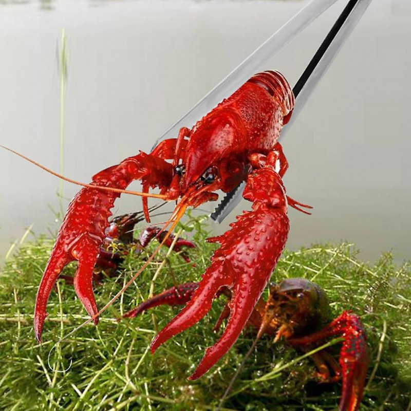 Convenient Eel Clamp Household Crab Turtle Scissor Tong Accessory Multi-function Pet Clip Plastic Zinc Alloy