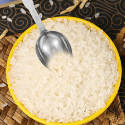 Stainless Steel Measuring Spoon Tablespoon Metric Cups and Spoons Cat Food Scoop Candy