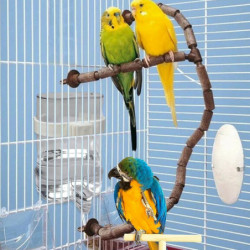 Bird Er - Leakproof Bird Er Hygienic Bowl Automatic - Safe Pet Accessories With Clip For Finches Parrots Parakeets [...]