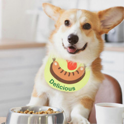 Animals Pet Supplies Pet Supplies Dog Supplies Dog Apparel U4296