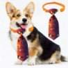 Animals Pet Supplies Pet Supplies Dog Supplies Dog Apparel U4634