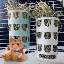 Animals Pet Supplies Pet Supplies Cat Supplies Cat Apparel U4334 Animals Pet Supplies Pet Supplies Cat Supplies Cat Apparel U4334