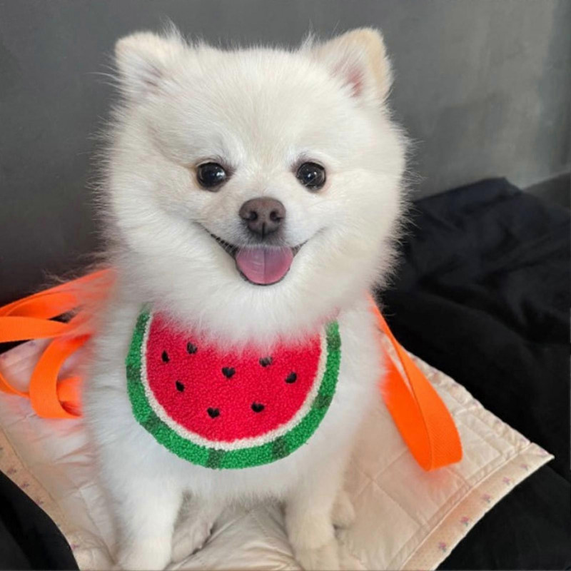 Animals Pet Supplies Pet Supplies Dog Supplies Dog Apparel U4540