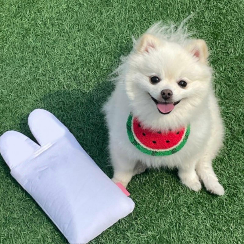 Animals Pet Supplies Pet Supplies Dog Supplies Dog Apparel U4540