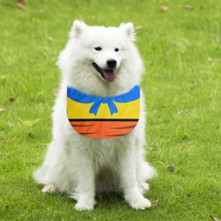 Animals Pet Supplies Pet Supplies Dog Supplies Dog Apparel U4530 Animals Pet Supplies Pet Supplies Dog Supplies Dog Apparel U4530