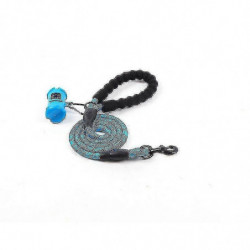 Reflective Dog Leash with Padded Handle, Includes Waste Bags Dispenser - 1.5m Cord for All S