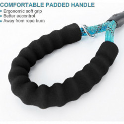 Reflective Dog Leash with Padded Handle, Includes Waste Bags Dispenser - 1.5m Cord for All S