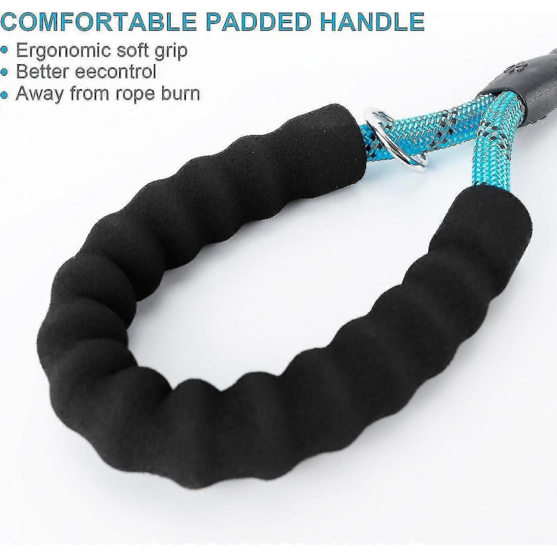 Reflective Dog Leash with Padded Handle, Includes Waste Bags Dispenser - 1.5m Cord for All S