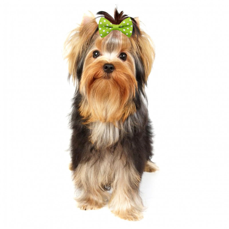 10Pcs Cute Pet Headwear with Rubber Band White Dot Small Pet Headwear Accessories Pet Supplies