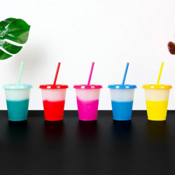 Wharick 473ml Water Cup Lidded Color Changing Plastic Daily Use Straw Juice Cup Kitchen Supplies
