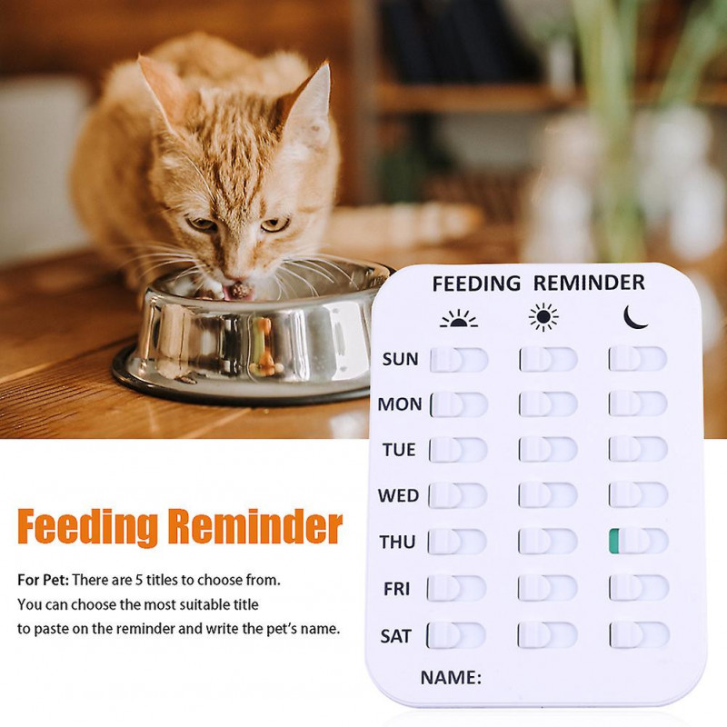 Chiens Chats Accueil Cuisine Poisson Enfants Magnétique Bricolage Alimentation des animaux de compagnie Rappel