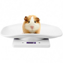 Estink Digital Pet Scale 4 modes de pondération (ozmllbg) Pour mesurer la capacité alimentaire des chiens jusqu’à [...]