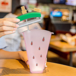 Cute Popsicle Water Cup Fruit Water Cup Portable Plastic Water Cup With Lanyard Cute Popsicle Water Cup Fruit Water Cup Portable Plastic Water Cup With Lanyard
