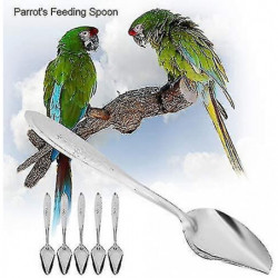 5pcs Parrot's Milk Powder Stainless Steel For Pet Feeding S 5pcs Parrot's Milk Powder Stainless Steel For Pet Feeding S