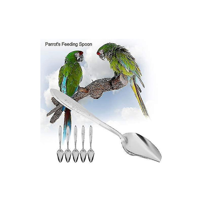 5pcs Parrot's Milk Powder Stainless Steel For Pet Feeding S