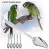5pcs Parrot's Milk Powder Stainless Steel For Pet Feeding S