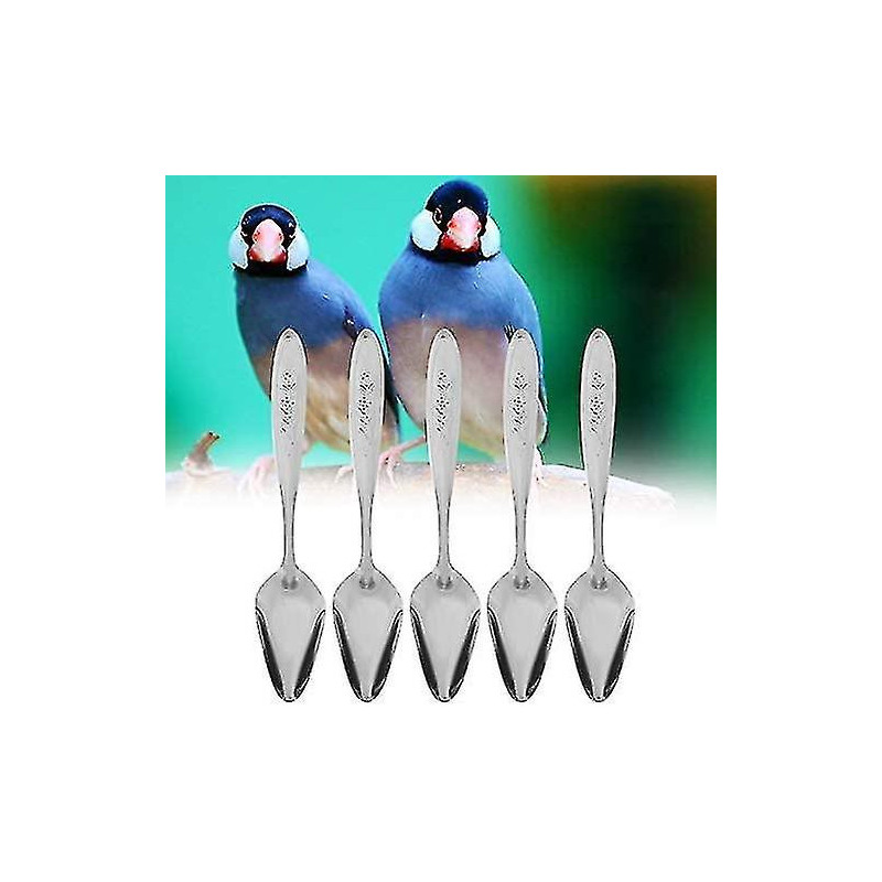 5pcs Parrot's Milk Powder Stainless Steel For Pet Feeding S