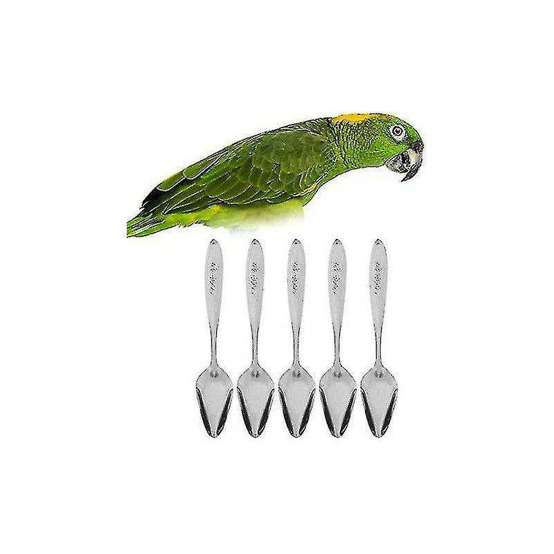 5pcs Parrot's Milk Powder Stainless Steel For Pet Feeding S