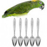 5pcs Parrot's Milk Powder Stainless Steel For Pet Feeding S