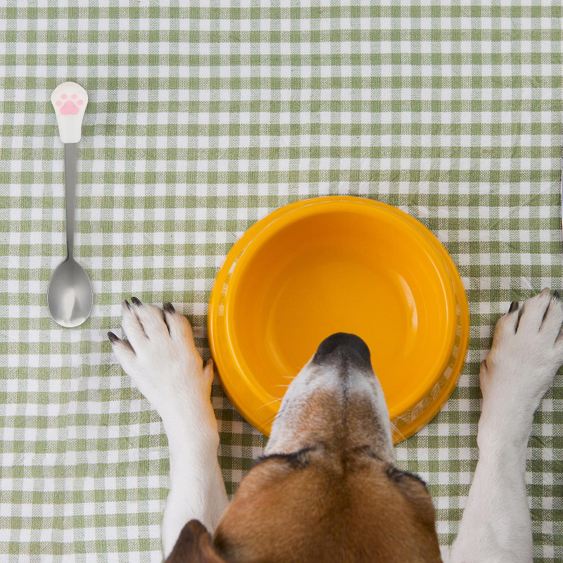 4Pcs Dog Cat Spoon Pet Can Spoon Stainless Steel Pet Food Spoon Cat Claw Spoon