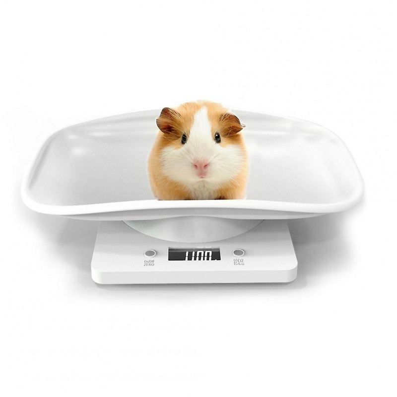 Digital Pet Scale Weight Measure Tool Backlight Multi-function Portable For Dog Cat