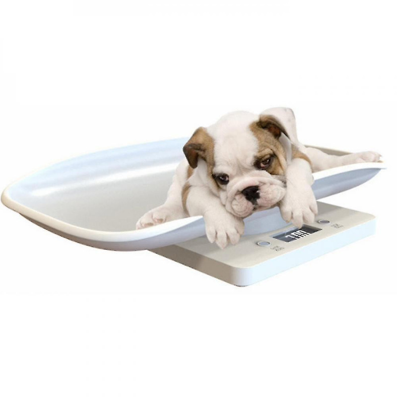 Pèse-personne électronique de 15 kg pour petits animaux pesant des petits chats et des chiens