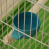 1Pc New Parrot Bird Hamster Hanging Feeding Bowl Cage Drinking Food Feeder Plastic Round Water Cup Feeding Bowl Tools