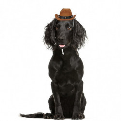 POPETPOP Creative Dog Hat Fashion Pet Headdress Pet Cat Photo Prop Pet Supplies (Coffee, Random Bead Color) POPETPOP Creative Dog Hat Fashion Pet Headdress Pet Cat Photo Prop Pet Supplies (Coffee, Random Bead Color)