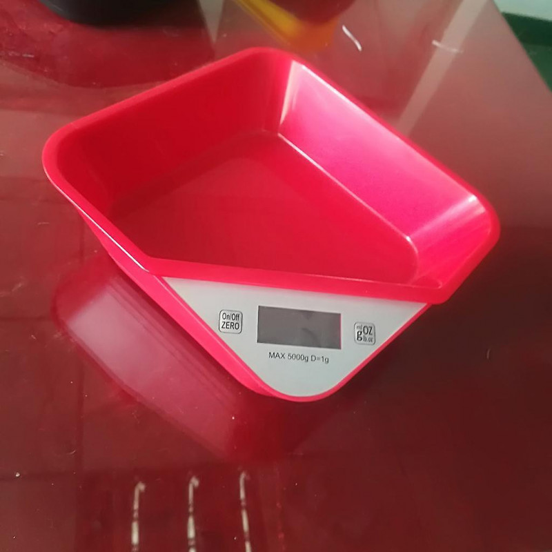 Balance numérique pour animaux de compagnie Poids animal vétérinaire Chien de compagnie Chat pour peser des grammes