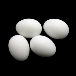 6Pcs Plastic Poultry Feeding Supplies Solid Pigeon Simulation Fake Eggs 6Pcs Plastic Poultry Feeding Supplies Solid Pigeon Simulation Fake Eggs