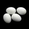 6Pcs Plastic Poultry Feeding Supplies Solid Pigeon Simulation Fake Eggs