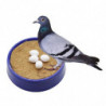 6Pcs Plastic Poultry Feeding Supplies Solid Pigeon Simulation Fake Eggs