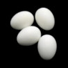 6Pcs Plastic Poultry Feeding Supplies Solid Pigeon Simulation Fake Eggs