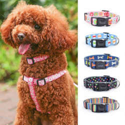 ZHOUBA Cat Dog Printed Collar Adjustable Anti-hanging Traction Tool Durable Pet Supplies for Outdoor ZHOUBA Cat Dog Printed Collar Adjustable Anti-hanging Traction Tool Durable Pet Supplies for Outdoor