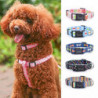 ZHOUBA Cat Dog Printed Collar Adjustable Anti-hanging Traction Tool Durable Pet Supplies for Outdoor