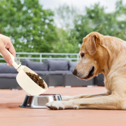 1 Pcs Pet Food Measuring Scoop Dog Food Measuring Cup & 6 Pcs Stainless Steel Heart Shape Coffee Sp 1 Pcs Pet Food Measuring Scoop Dog Food Measuring Cup & 6 Pcs Stainless Steel Heart Shape Coffee Sp