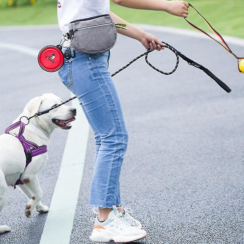 Pochette de friandises pour chiens, sac de poche de dressage de chien avec ceinture réglable et distributeur de [...]