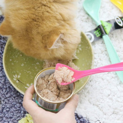 Pet Food Can Spoon,long Handle And Special Curved Design,for Dog And Cat Can, Small, Pink - - Pet Food Can Spoon,long Handle And Special Curved Design,for Dog And Cat Can, Small, Pink - -