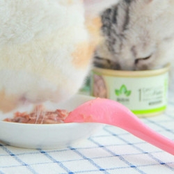 Pet Food Can Spoon,long Handle And Special Curved Design,for Dog And Cat Can, Small, Pink - - Pet Food Can Spoon,long Handle And Special Curved Design,for Dog And Cat Can, Small, Pink - -