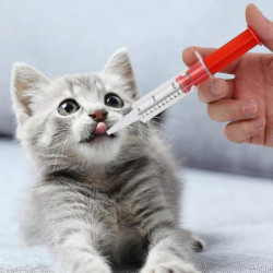 2 Pcs Pet Medicine Feeder Pet Pill Poppers Handy Durable Dispenser 2 Pcs Pet Medicine Feeder Pet Pill Poppers Handy Durable Dispenser