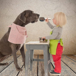 Pet Food Scoop, Durable Pet Dry Food Feeding Spoon Plastic Handle With Clip Pet Food Scoop, Durable Pet Dry Food Feeding Spoon Plastic Handle With Clip